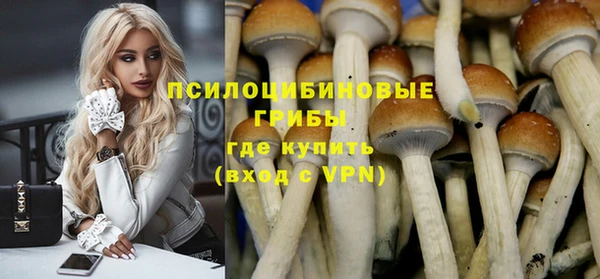 эйфоретик Аркадак